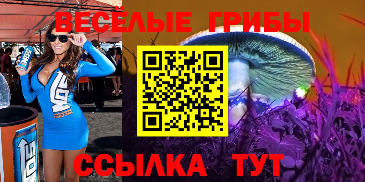 Шатура  Галлюциногенные грибы ЛСД  Вход с VPN  Псилоцибиновые грибы мицелий 